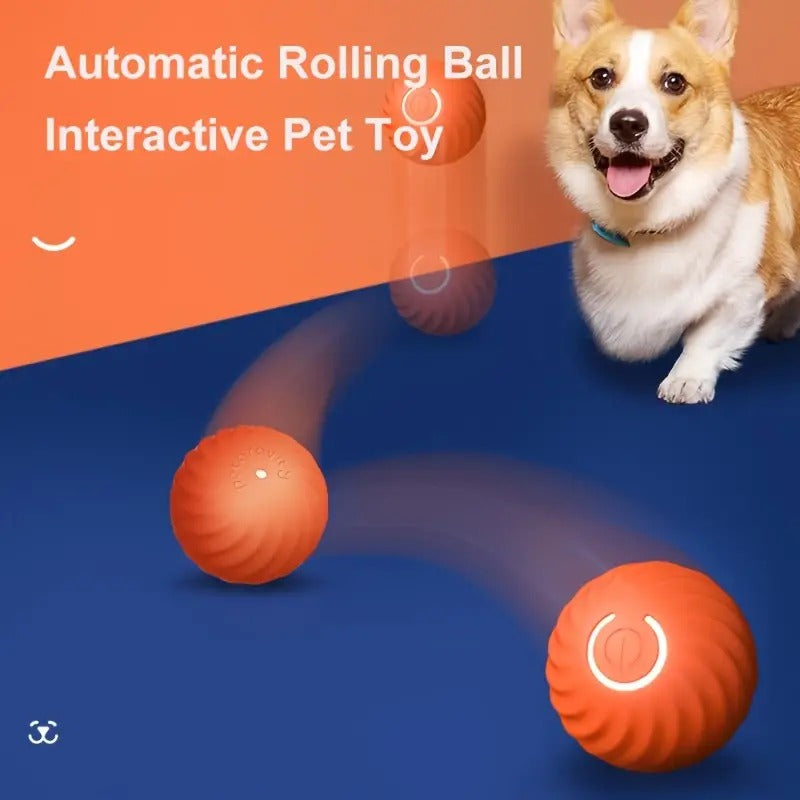 PawsPlay™ | Self Teasing Dog Ball
